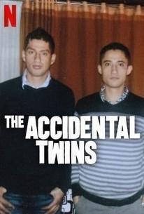 The Accidental Twins (2024)